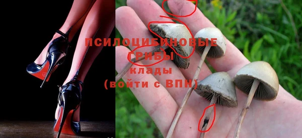 ГАЛЛЮЦИНОГЕННЫЕ ГРИБЫ Новодвинск