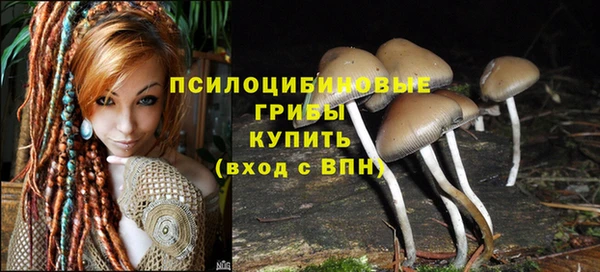 МДМА Новозыбков