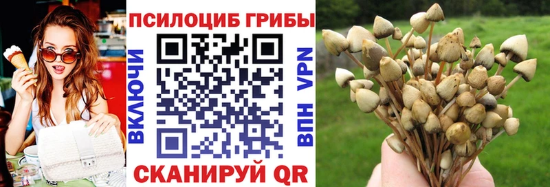 Псилоцибиновые грибы MAGIC MUSHROOMS  купить закладку  МЕГА сайт  Алатырь 