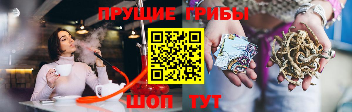 Псилоцибиновые грибы прущие грибы  Вход с VPN  купить наркотики цена  Алатырь  Псилоцибиновые грибы мицелий 