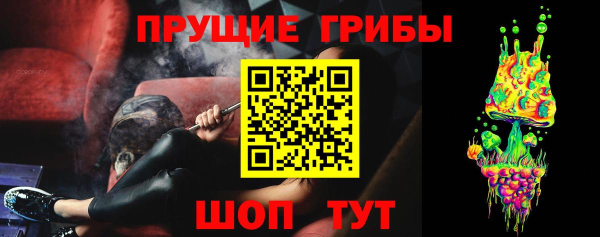 Алатырь  Псилоцибиновые грибы мухоморы  Вход с VPN  Псилоцибиновые грибы мухоморы 