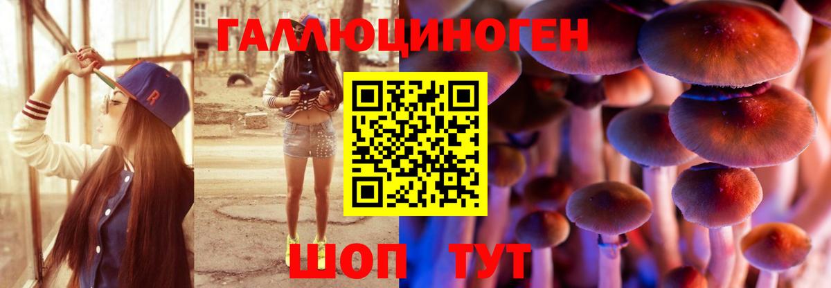 Галлюциногенные грибы MAGIC MUSHROOMS Алатырь