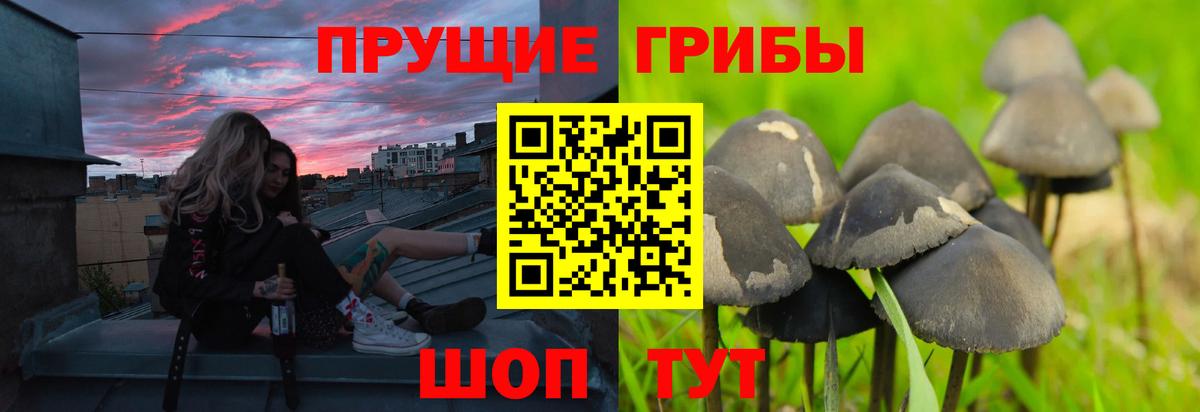 Галлюциногенные грибы GOLDEN TEACHER Алатырь